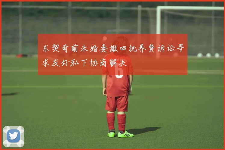 东契奇前未婚妻撤回抚养费诉讼寻求友好私下协商解决